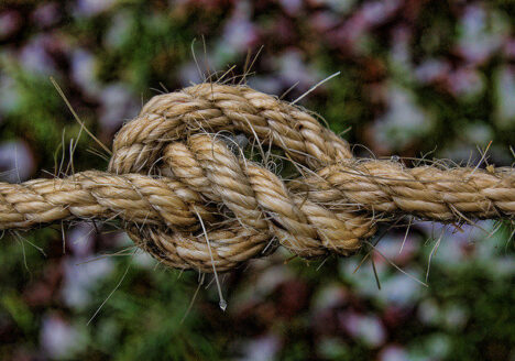Frayed Knot.jpg